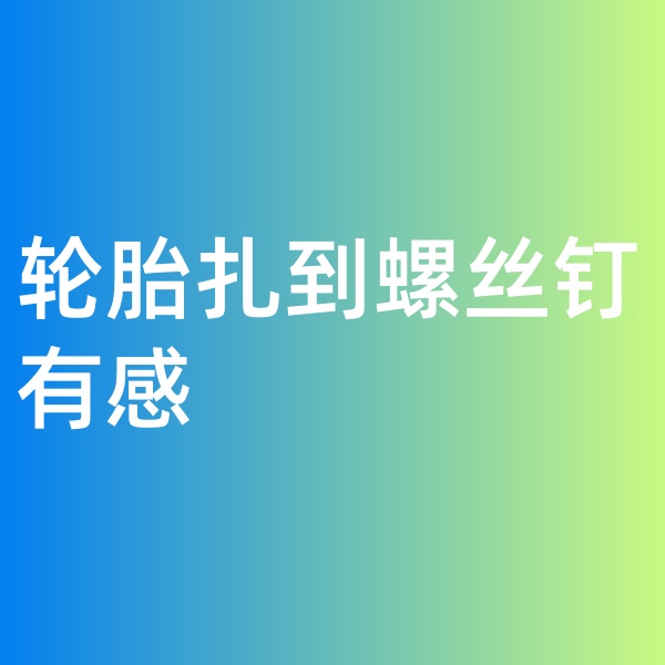 鈀碳回收，輪胎扎到螺絲釘有感