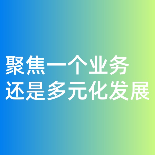 鈀碳回收, 聚焦一個業(yè)務，還是多元化發(fā)展
